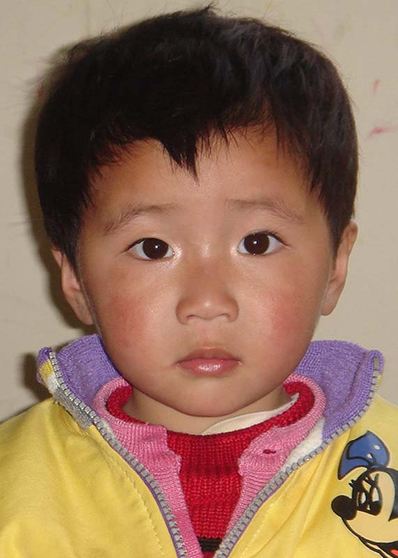 韩萍 Han Ping