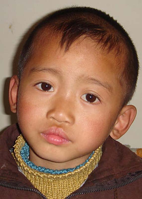刘佳根 Liu Jia Gen