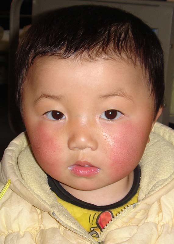 蒋望月 Jiang Wang Yue