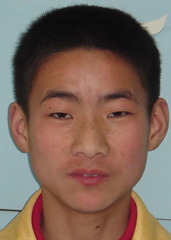 吴平 Wu Ping