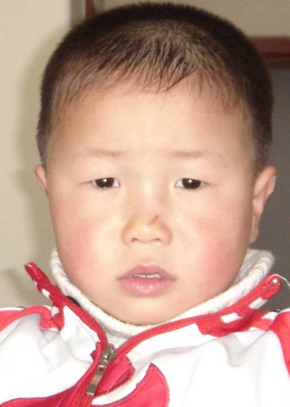Zhu Zi Cao