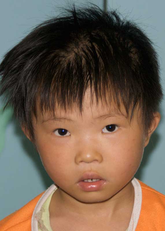 Liu Zhi
