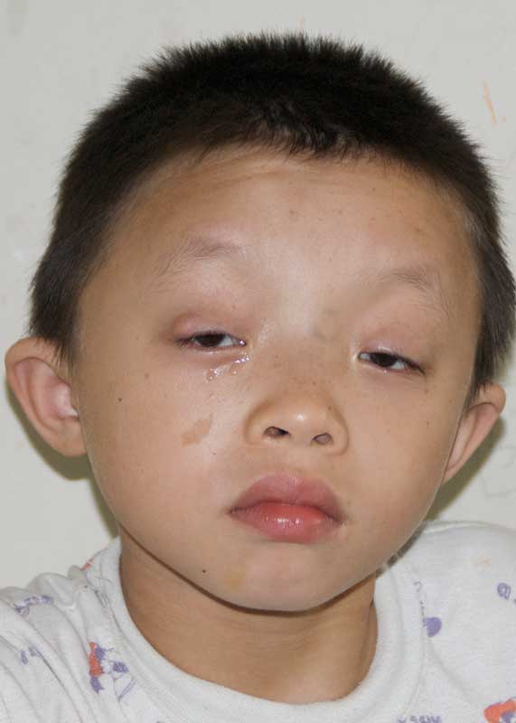 Chen Shu Qing