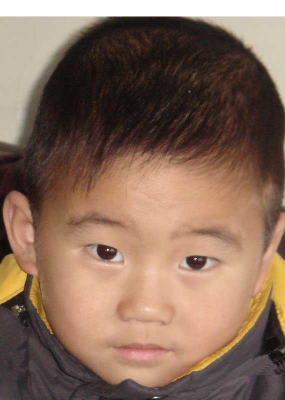 Zhang Wen Feng