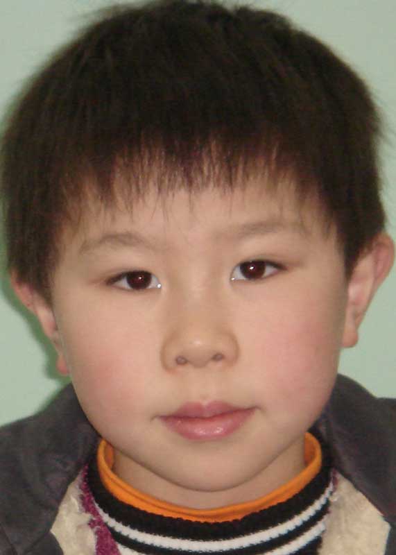 Zhu Wei Qing