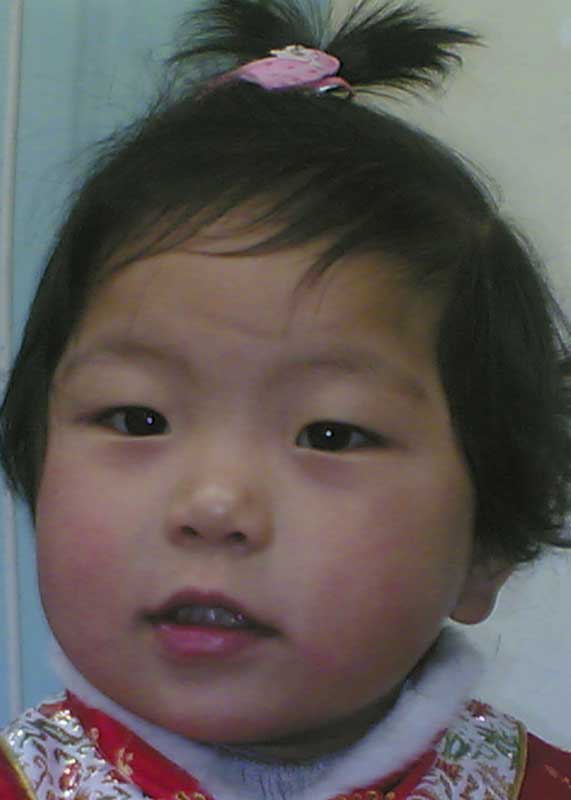 Yu Tian Yu
