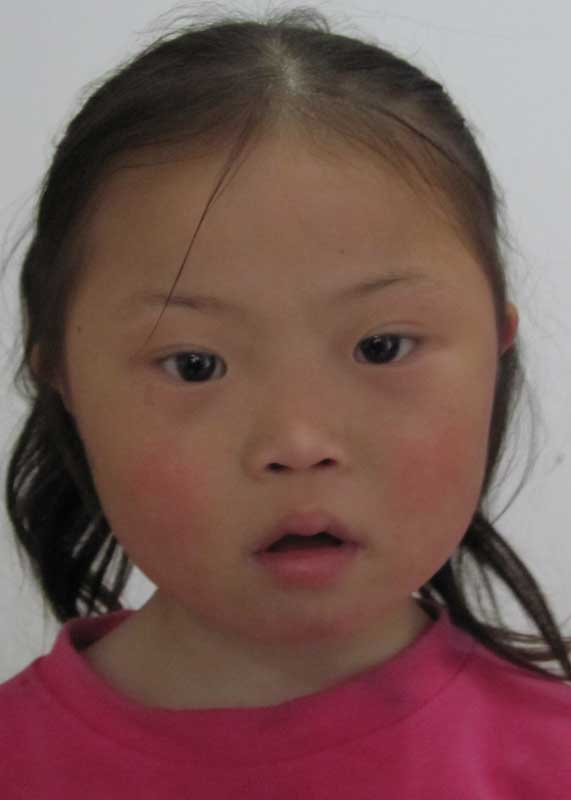 Ding Shan Shan