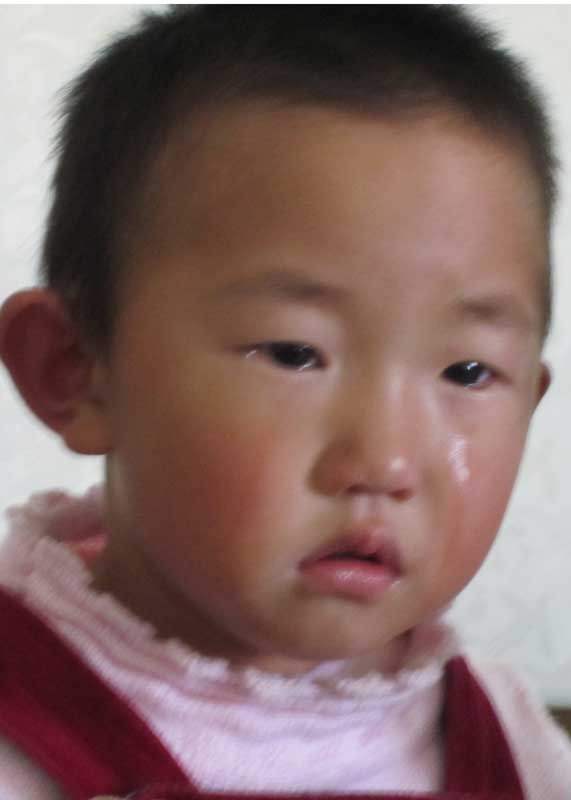 Liu Yu Meng