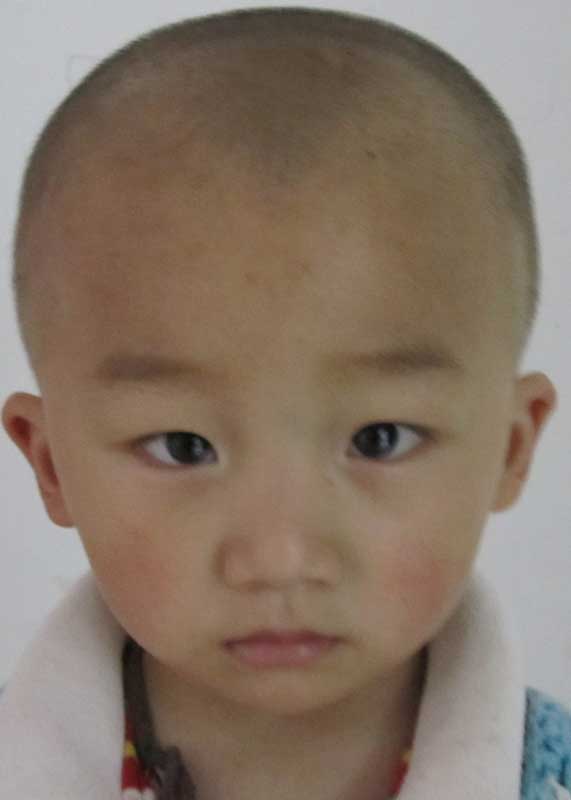 Ding Mei Xin