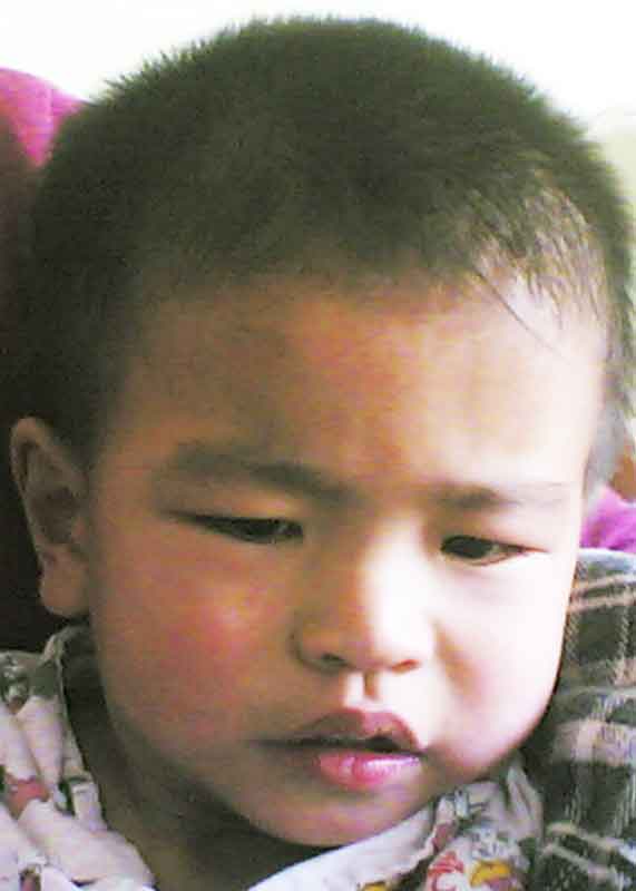 Li Wen Hua