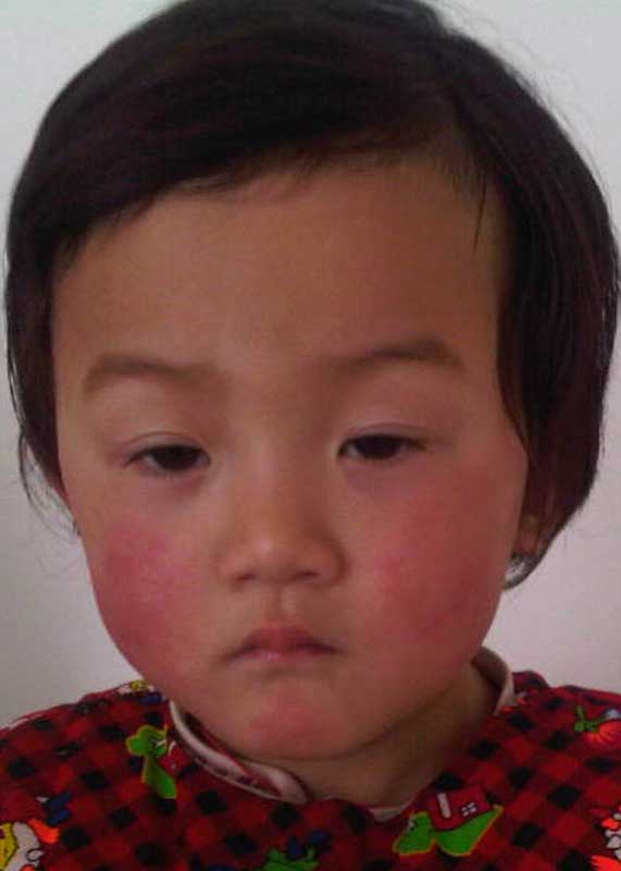 Zhang  Rulian