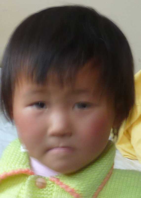 Li Si Yu