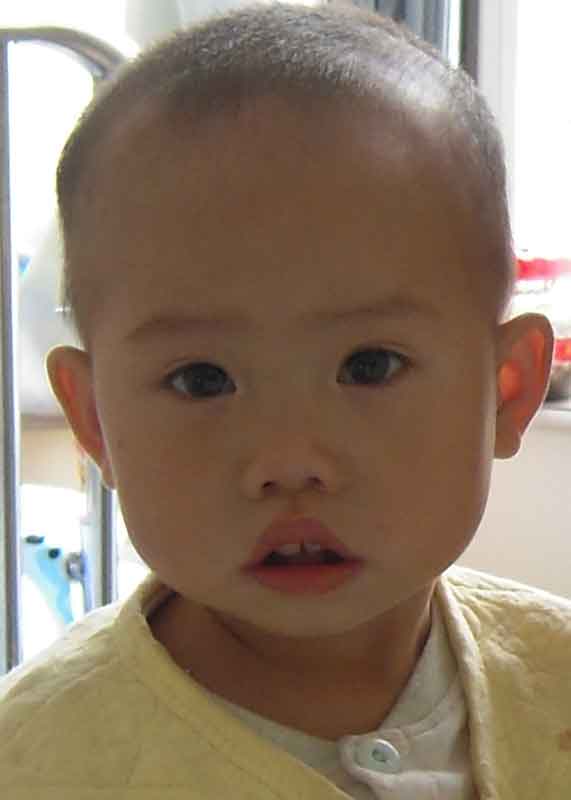 Zhang  Qing