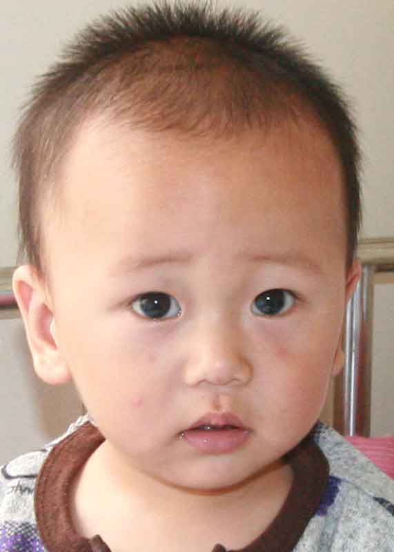 Zhang  Haoyu
