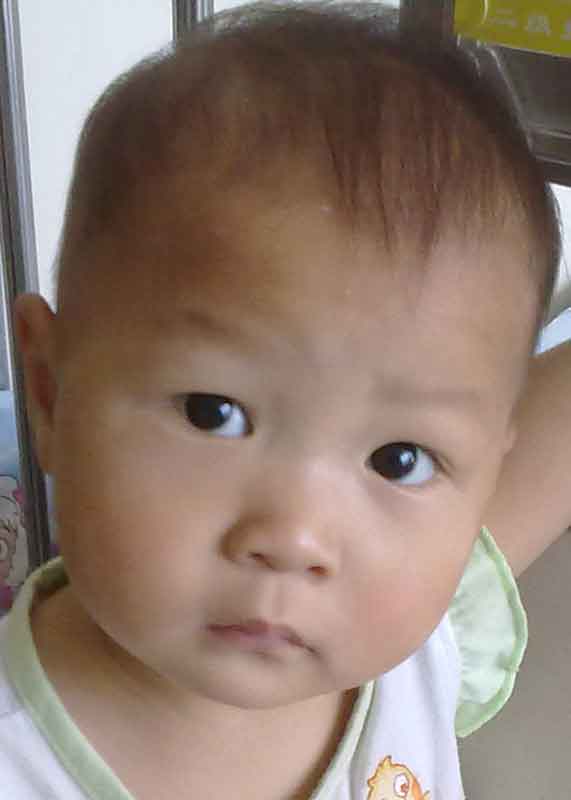 Wei Hongmin