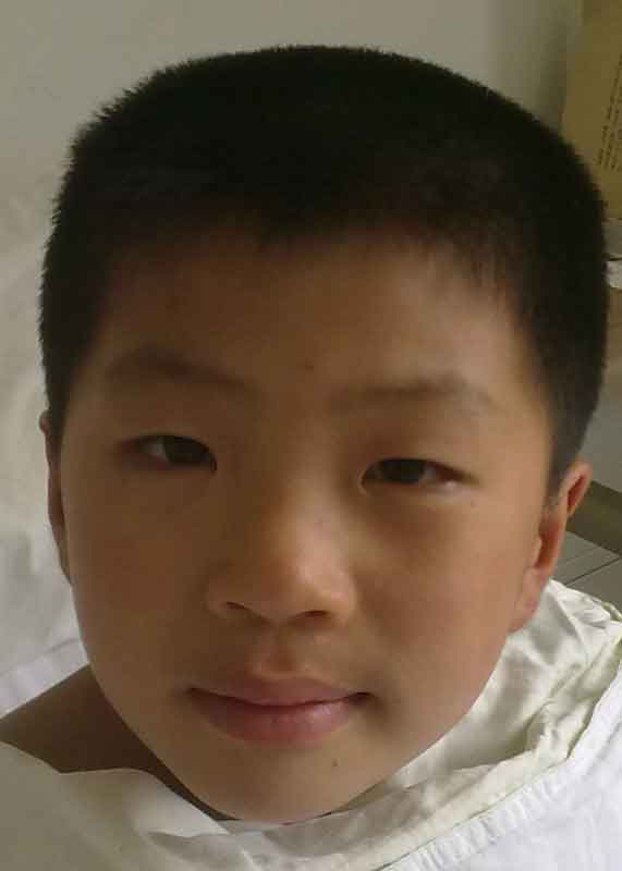 Han Te