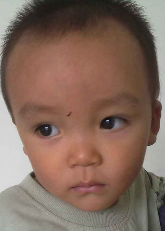 Su Shaobing