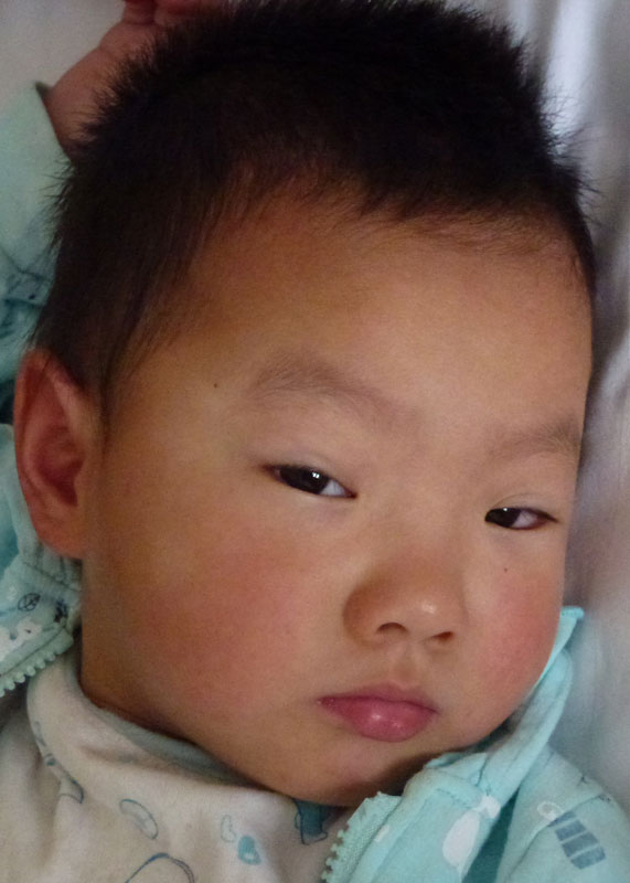 Xu  Lu