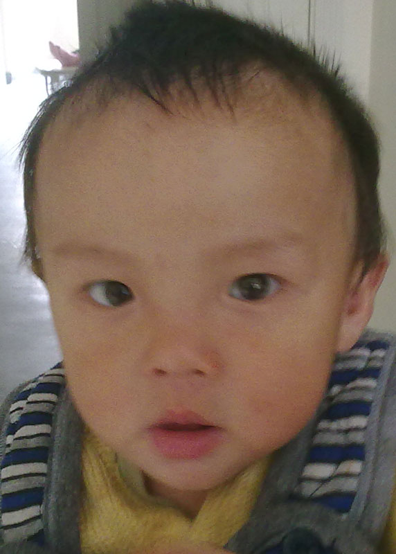 Liu  Mingxiang