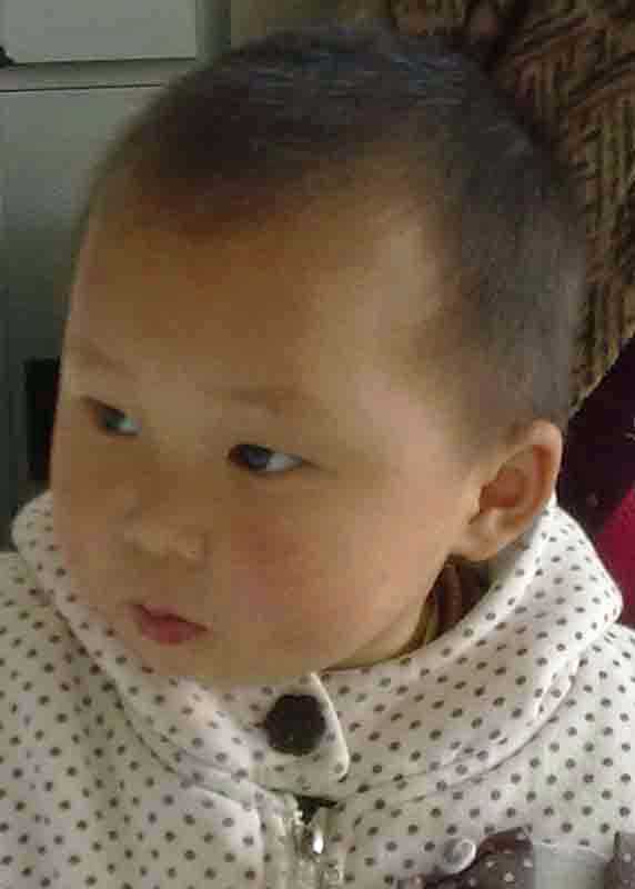 Jiang Yu  Han