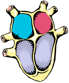 ASD - Atrial Septal Defects